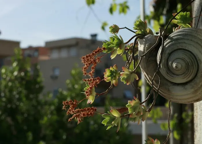 Spacious In The Center سبليت