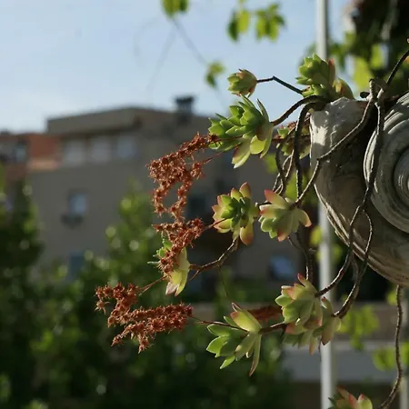 Spacious In The Center Split